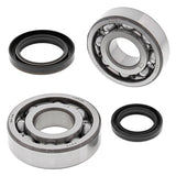 ALL BALLS RACING CRANKSHAFT BEARING AND SEAL KIT (24 - 1091) - DRIVEN Canada's Powersports 72398042241824 - 1091