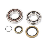 ALL BALLS RACING CRANKSHAFT BEARING AND SEAL KIT (24 - 1098) - DRIVEN Canada's Powersports 72398041416124 - 1098