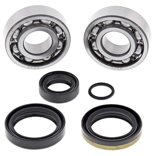 ALL BALLS RACING CRANKSHAFT BEARING AND SEAL KIT (24 - 1099) - DRIVEN Canada's Powersports 72398042243224 - 1099