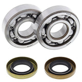 ALL BALLS RACING CRANKSHAFT BEARING AND SEAL KIT (24 - 1102) - DRIVEN Canada's Powersports 23724110224 - 1102