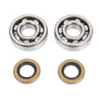 ALL BALLS RACING CRANKSHAFT BEARING AND SEAL KIT (24 - 1102) - DRIVEN Canada's Powersports 23724110224 - 1102