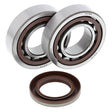 ALL BALLS RACING CRANKSHAFT BEARING AND SEAL KIT (24 - 1106) - DRIVEN Canada's Powersports 23724110624 - 1106