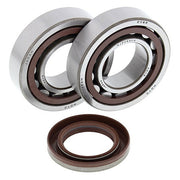 ALL BALLS RACING CRANKSHAFT BEARING AND SEAL KIT (24 - 1106) - DRIVEN Canada's Powersports 23724110624 - 1106