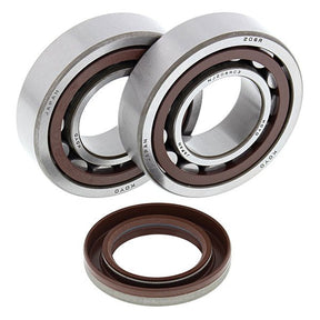 ALL BALLS RACING CRANKSHAFT BEARING AND SEAL KIT (24 - 1106) - DRIVEN Canada's Powersports 23724110624 - 1106