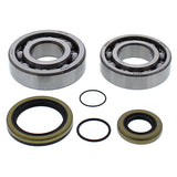 ALL BALLS RACING CRANKSHAFT BEARING AND SEAL KIT (24 - 1118) - DRIVEN Canada's Powersports 61331079588924 - 1118