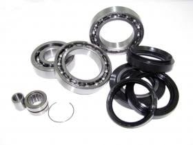 ALL BALLS RACING DIFFERENTIAL BEARING AND SEAL KIT (25 - 2001) - DRIVEN Canada's Powersports 23725200125 - 2001