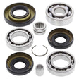 ALL BALLS RACING DIFFERENTIAL BEARING AND SEAL KIT (25 - 2003) - DRIVEN Canada's Powersports 23725200325 - 2003