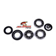 ALL BALLS RACING DIFFERENTIAL BEARING AND SEAL KIT (25 - 2008) - DRIVEN Canada's Powersports 23725200825 - 2008