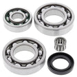 ALL BALLS RACING DIFFERENTIAL BEARING AND SEAL KIT (25 - 2018) - DRIVEN Canada's Powersports 23725201825 - 2018