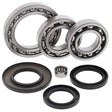 ALL BALLS RACING DIFFERENTIAL BEARING AND SEAL KIT (25 - 2023) - DRIVEN Canada's Powersports 72398041575525 - 2023