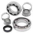 ALL BALLS RACING DIFFERENTIAL BEARING AND SEAL KIT (25 - 2038) - DRIVEN Canada's Powersports 72398041577925 - 2038