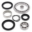ALL BALLS RACING DIFFERENTIAL BEARING AND SEAL KIT (25 - 2045) - DRIVEN Canada's Powersports 23725204525 - 2045
