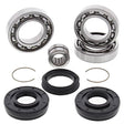 ALL BALLS RACING DIFFERENTIAL BEARING AND SEAL KIT (25 - 2046) - DRIVEN Canada's Powersports 72398041578625 - 2046