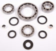 ALL BALLS RACING DIFFERENTIAL BEARING AND SEAL KIT (25 - 2059) - DRIVEN Canada's Powersports 23725205925 - 2059