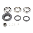 ALL BALLS RACING DIFFERENTIAL BEARING AND SEAL KIT (25 - 2061) - DRIVEN Canada's Powersports 23725206125 - 2061