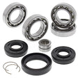 ALL BALLS RACING DIFFERENTIAL BEARING AND SEAL KIT (25 - 2078) - DRIVEN Canada's Powersports 72398041588525 - 2078