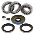 ALL BALLS RACING DIFFERENTIAL BEARING AND SEAL KIT (25 - 2096) - DRIVEN Canada's Powersports 72398041593925 - 2096