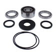 ALL BALLS RACING DIFFERENTIAL SEAL KIT (25 - 2116) - DRIVEN Canada's Powersports 61331080255625 - 2116