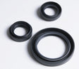 ALL BALLS RACING DIFFERENTIAL SEAL KIT (25 - 2028 - 5) - DRIVEN Canada's Powersports 237252028525 - 2028 - 5