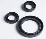 ALL BALLS RACING DIFFERENTIAL SEAL KIT (25 - 2028 - 5) - DRIVEN Canada's Powersports 237252028525 - 2028 - 5