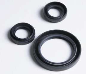 ALL BALLS RACING DIFFERENTIAL SEAL KIT (25 - 2028 - 5) - DRIVEN Canada's Powersports 237252028525 - 2028 - 5