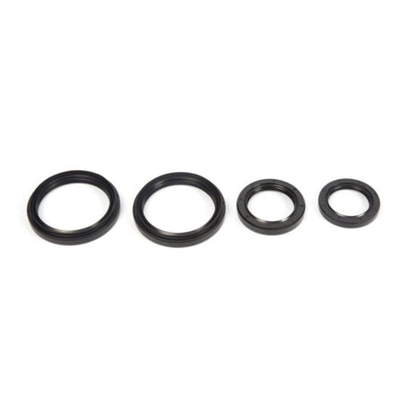 ALL BALLS RACING DIFFERENTIAL SEAL KIT (25 - 2050 - 5) - DRIVEN Canada's Powersports 237252050525 - 2050 - 5