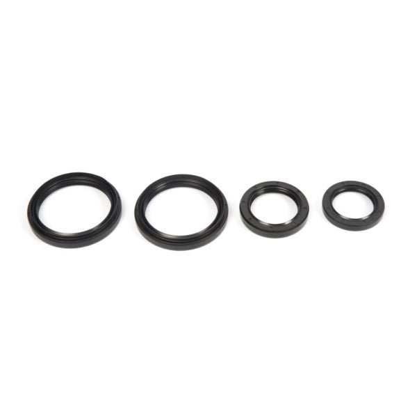 ALL BALLS RACING DIFFERENTIAL SEAL KIT (25 - 2050 - 5) - DRIVEN Canada's Powersports 237252050525 - 2050 - 5
