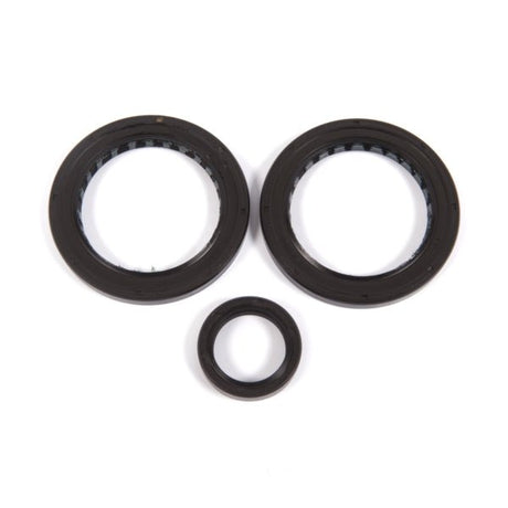 ALL BALLS RACING DIFFERENTIAL SEAL KIT (25 - 2056 - 5) - DRIVEN Canada's Powersports 237252056525 - 2056 - 5