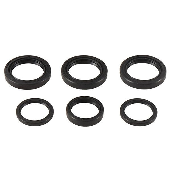 ALL BALLS RACING DIFFERENTIAL SEAL KIT (25 - 2065 - 5) - DRIVEN Canada's Powersports 237252065525 - 2065 - 5