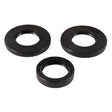 ALL BALLS RACING DIFFERENTIAL SEAL KIT (25 - 2075 - 5) - DRIVEN Canada's Powersports 237252075525 - 2075 - 5