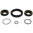 ALL BALLS RACING DIFFERENTIAL SEAL KIT (25 - 2110 - 5) - DRIVEN Canada's Powersports 237252110525 - 2110 - 5