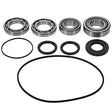 ALL BALLS RACING DIFFERENTIAL SEAL KIT (25 - 2152) - DRIVEN Canada's Powersports 71420503084625 - 2152