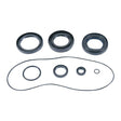 ALL BALLS RACING DIFFERENTIAL SEALS MUV700 09 - 13 (25 - 2135 - 5) - DRIVEN Canada's Powersports 61331080558825 - 2135 - 5
