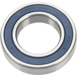 ALL BALLS RACING INDIVIDUAL BALL BEARING (6007 - 2RS) - DRIVEN Canada's Powersports 6007 - 2RS