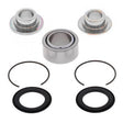 ALL BALLS RACING SHOCK BEARINGS AND SEALS KIT (29 - 5080) - DRIVEN Canada's Powersports 72398043765829 - 5080