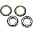 ALL BALLS RACING STEERING BEARING & SEAL KIT (22 - 1002) - DRIVEN Canada's Powersports 23722100222 - 1002