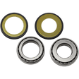 ALL BALLS RACING STEERING BEARING & SEAL KIT (22 - 1007) - DRIVEN Canada's Powersports 23722100722 - 1007