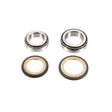ALL BALLS RACING STEERING BEARING & SEAL KIT (22 - 1008) - DRIVEN Canada's Powersports 72398041347822 - 1008