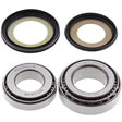 ALL BALLS RACING STEERING BEARING & SEAL KIT (22 - 1019) - DRIVEN Canada's Powersports 72398041356022 - 1019
