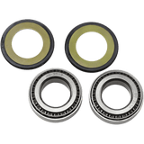ALL BALLS RACING STEERING BEARING & SEAL KIT (22 - 1024) - DRIVEN Canada's Powersports 23722102422 - 1024