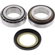 ALL BALLS RACING STEERING BEARING & SEAL KIT (22 - 1055) - DRIVEN Canada's Powersports 23722105522 - 1055