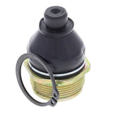ALL BALLS RACING STEERING COMPONENT BEARING AND SEALS (42 - 1016) - DRIVEN Canada's Powersports 23742101642 - 1016