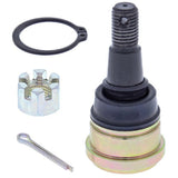 ALL BALLS RACING STEERING COMPONENT BEARING AND SEALS (42 - 1031) - DRIVEN Canada's Powersports 23742103142 - 1031