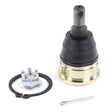 ALL BALLS RACING STEERING COMPONENT BEARING AND SEALS (42 - 1054) - DRIVEN Canada's Powersports 23742105442 - 1054