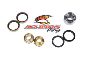 ALL BALLS RACING SUSPENSION BEARING AND SEAL KIT FOR OFF - ROAD MOTORCYCLES (27 - 1089) - DRIVEN Canada's Powersports 23727108927 - 1089