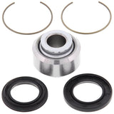 ALL BALLS RACING SUSPENSION BEARING AND SEAL KIT FOR OFF - ROAD MOTORCYCLES (29 - 1013) - DRIVEN Canada's Powersports 23729101329 - 1013