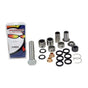 ALL BALLS RACING SUSPENSION BEARING AND SEAL KIT FOR OFF - ROAD MOTORCYCLES (29 - 5063) - DRIVEN Canada's Powersports 23729506329 - 5063