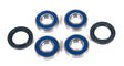 ALL BALLS RACING SUSPENSION BEARING KIT (50 - 1079) - DRIVEN Canada's Powersports 23750107950 - 1079