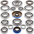 ALL BALLS RACING TRANSAXLE BEARING AND SEAL KIT (25 - 2085) - DRIVEN Canada's Powersports 23725208525 - 2085