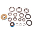 ALL BALLS RACING TRANSAXLE BEARING AND SEAL KIT (25 - 2087) - DRIVEN Canada's Powersports 72398041589225 - 2087